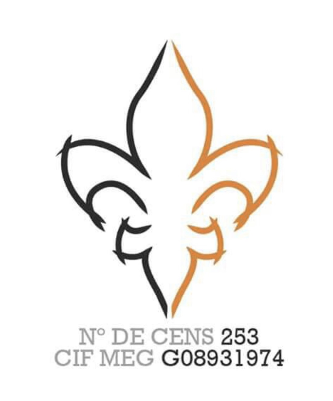 Imagen para los medios: Concert AEIG roc d'oró amb músics locals 