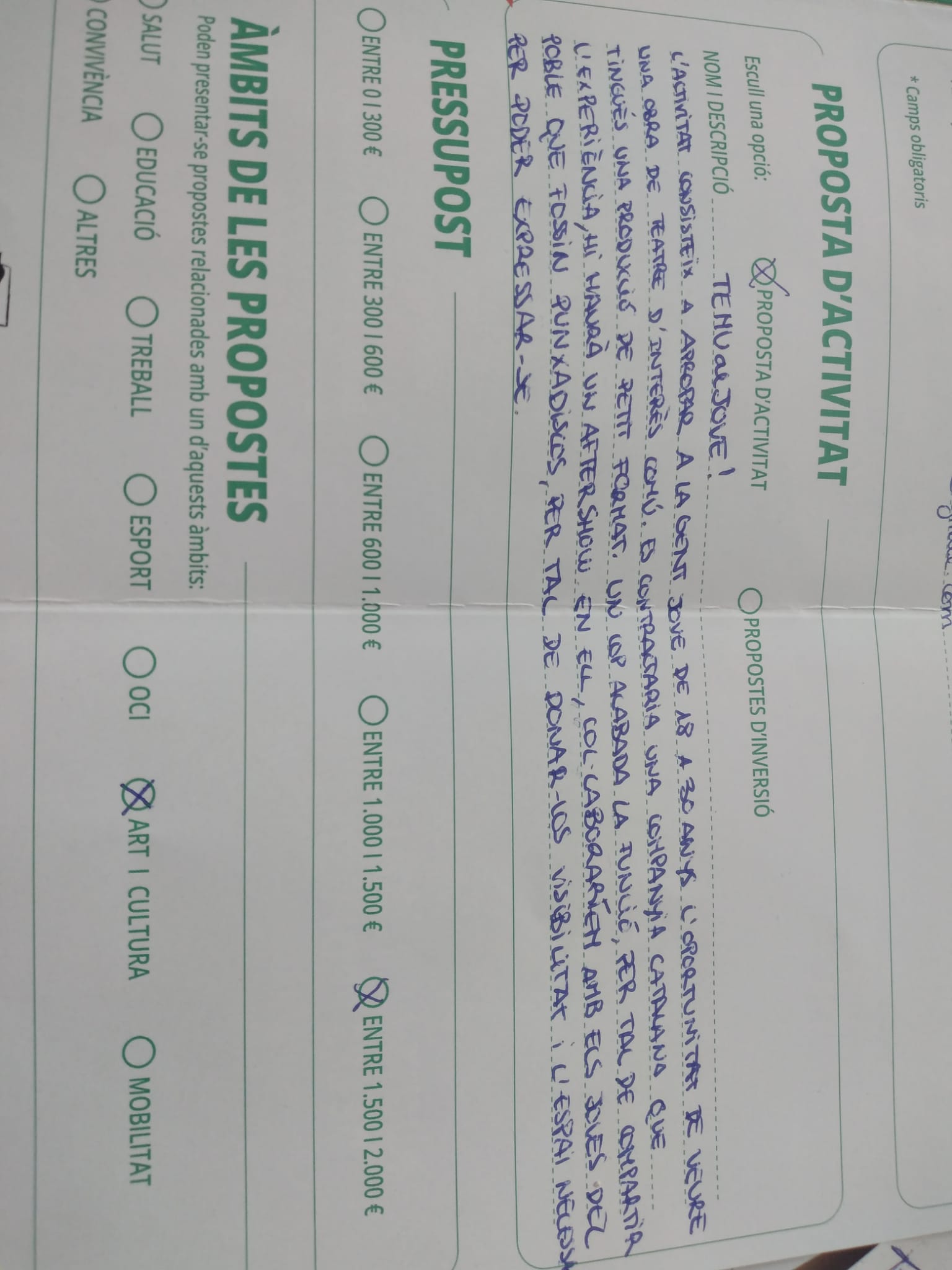 Imagen para los medios: Temu al Jove!! 