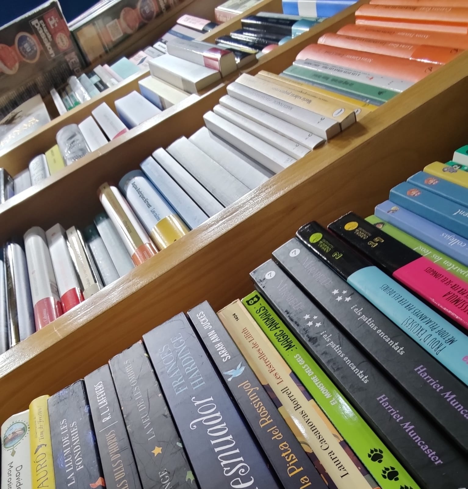 Media picture: 8. Papers i Llibres Marta