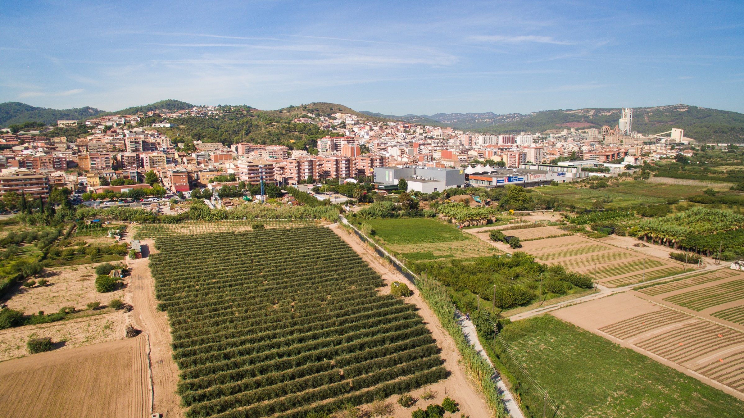Imagen para los medios: Grup d&#39;Intervenció a l&#39;Espai Públic (GIEP)